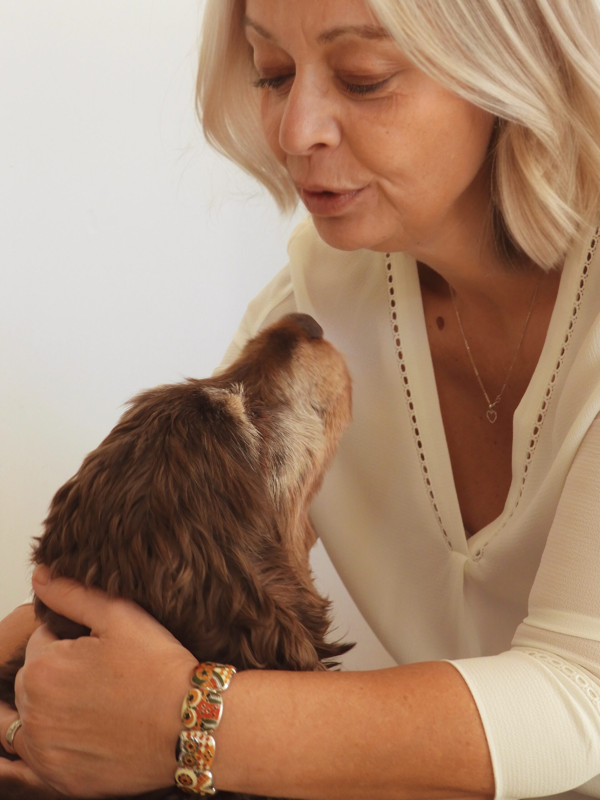 Soin énergétique à distance pour animaux